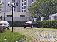 2003年小区 景观楼层 全明三房 婚房装修 诚意出售