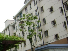 :虹桥路地铁边上双南两房一厅 位置安静 近地铁