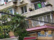 虹桥路站3.4.10号线, 电梯朝南1房,2楼 上下方便