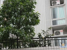 回兴 富悦新城二房