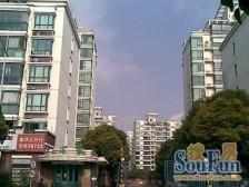 店长推荐好房,板式飞机户型,中区。不靠马路,诚意卖