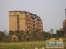 近地铁,产权清晰,无抵押 电梯房,新上房源