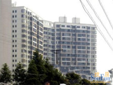 新上05年电梯三房,近地铁6/9双轨,临公园可用jian平