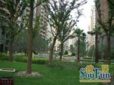 楼W,推窗见绿,中轴花园,做平0税,产权车位,建青书包,托售