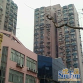 *50万,地铁口电梯高区,视野好诚售,7-20号双轨道