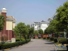 满五 电梯房,刚需上车 新上房源