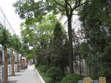近地铁 电梯房 新上房源