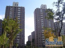 金桥·证大家园五期·3室·1厅