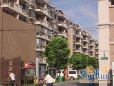 金桥·金桥新城·3室·2厅