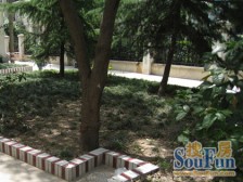 电梯平层入户,装修不用动,拎包入住,采光不挡