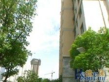 宝华雅苑 3室2厅 南