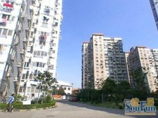 虹桥向日葵公寓 1室1厅 南