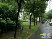 中新家园1室南朝向499.00万元/套出售