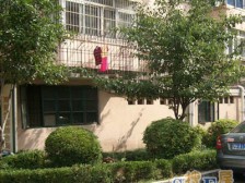 洋泾·巨**区·2室·1厅