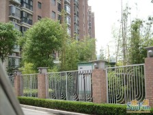 名门河滨花园1室南朝向539.00万元/套出售