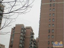 内环内 花园小区 06年商品房 出门即LCM 业主诚意出售