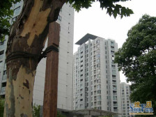 近地铁,入住快,精装电梯房新上房源