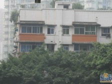 户型方正, 低楼层,业主诚心卖,双轻轨房