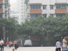 南坪 电建小区二房45万