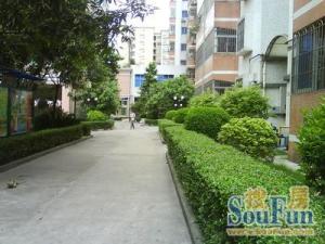 富荣新村配套成熟,出行交通方便,步行江泰路地铁站数百米