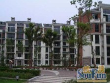 金港花园 9号线800米泗泾站成熟商业 电梯房 位置佳