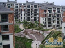 9号线泗泾站 金港花园 正气三房 带阁楼80平层高5米