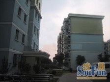 电梯统计中!三房两卫户型!带超大阁楼!房子位置佳!看房方便!