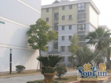 05年电梯大一房,近宜家荟聚商场