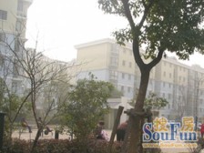 05年房龄新,电梯高区,视野好