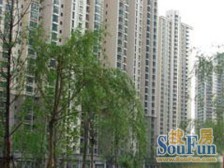 户型方正,近商场,南北通透。看房方便