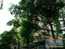 近地铁 产权清晰,随时看房 刚需上车,新上房源