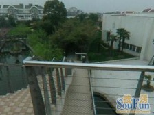 双拼东边套,环绕花园200平,一楼带长辈房,带车库