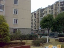 买一层送一层 得房率超高 超性价比 接受置换