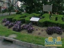 有花园,南无遮挡,全天采光,诚售,看房随时