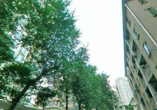 徐家汇朝南小户型采光无遮挡
