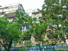 徐家汇低楼层大一房,适宜老人居住