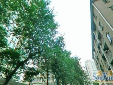 徐家汇低楼层大一房,适宜老人居住