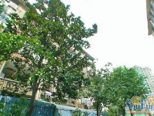 经典小一房全明南北通景观好楼层好