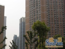 近地铁,无抵押,电梯房 产权清晰 必看好房