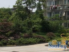 内环内 05年品质小区 东西南北都有窗 产权满五年 方便看房