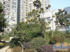 徐汇滨江+05年电梯房+4.6米横厅+满五+随时可看