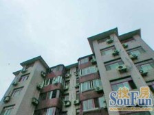 近地铁 无抵押 精装,大平层