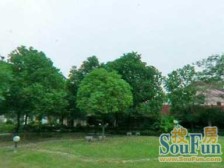 龙柏·佳信花苑·龙柏一村·4室·2厅