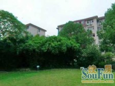 龙柏·佳信花苑·龙柏一村·4室·2厅