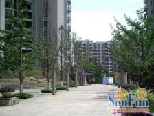 云满庭正规两房出售,户型彩光都很好