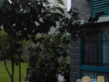 大虹桥 2房近地铁 近公园 南北双阳台 看房方便 看中谈