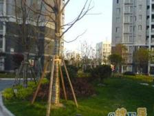 经典4+1户型+景观楼层+带产权车位+精装修+得房率高!