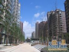 华丽家族古北花园 3室2厅 南