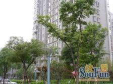 满眼自然+视野宽广+凤凰楼层+地铁200米+全明户型