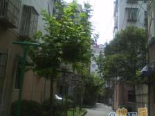 曹杨六村(兰溪园) 2室1厅 西